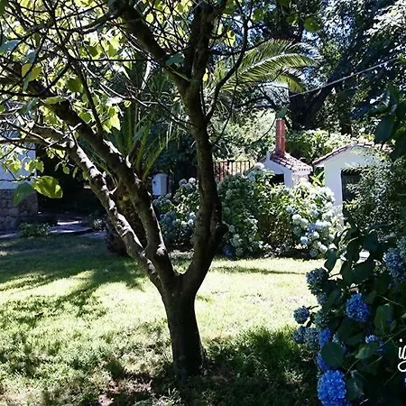 Madruga Country house