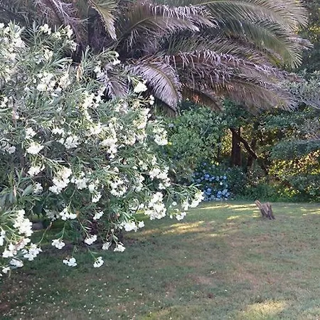Madruga Country house Navaconcejo
